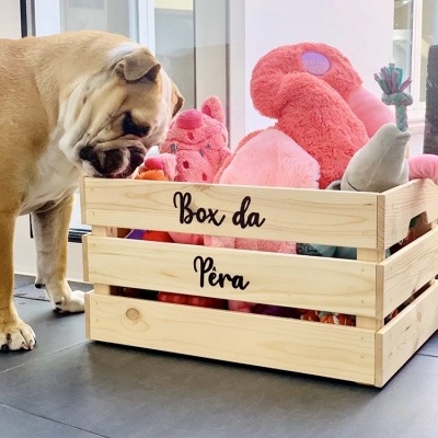 Caixa de madeira com brinquedos de pelúcia e cão bulldog inglês junto