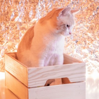 Wood Box Personalizável