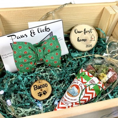 Kit mais que bem-vindo, para Cão ou Gato