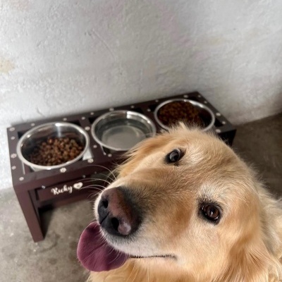 Comedouro Elevado Triplo Master