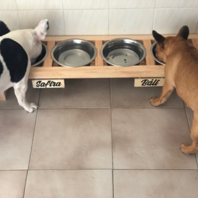 Comedouro Elevado Quádruplo Master