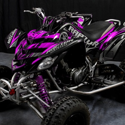 Raptor 660 - Pink Racer