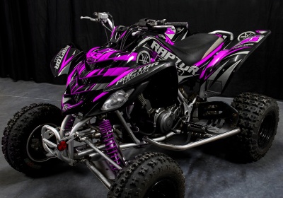 Raptor 660 - Pink Racer
