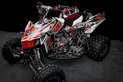LTR450 BWR-Chrome