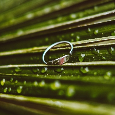 Anel pena [prateado]