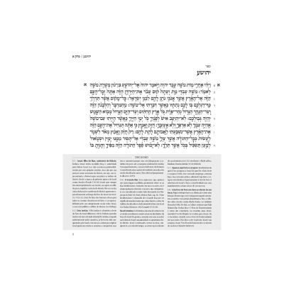 Coleção Steinsaltz Neviim - Josué, Juízes, Samuel I e II