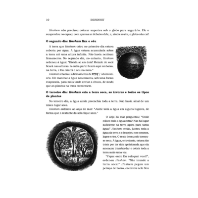 Página de livro com texto em português e ilustrações em preto e branco de globo e árvore com raízes
