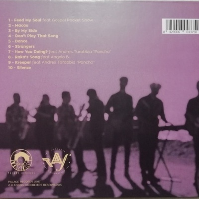 The Acoustic Foundation | CD Big Sculpture