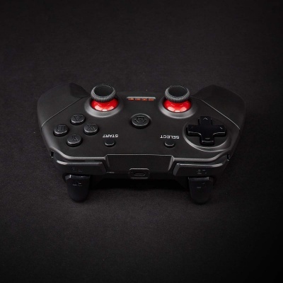 Nedis | Gamepad s/ Fios