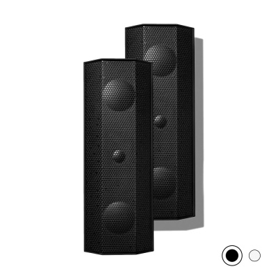Lithe Audio |IO1 Indoor & Outdoor Speaker - Pair - Active + Passive  - Black