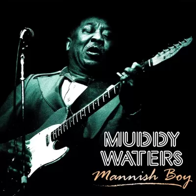 Muddy Waters - Mannish Boy