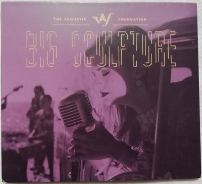 The Acoustic Foundation | CD Big Sculpture