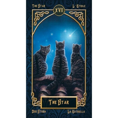 Tarot Familiars