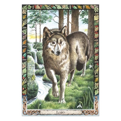 O Oráculo Animal dos Druidas O Oráculo Animal dos Druidas