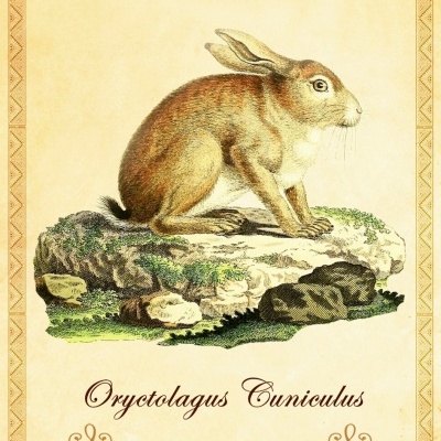 Oráculo dos Animais da Península Ibérica Oráculo dos Animais da Península Ibérica