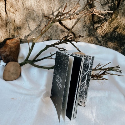 Hinário Lusitano das 13 Luas Hinário Lusitano das 13 Luas