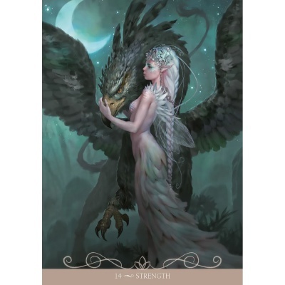 Night Fairies Oracle Cards