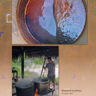 Ayahuasca - Da Serpente ao Jaguar