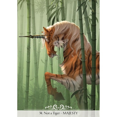 Unicorns Oracle Unicorns Oracle