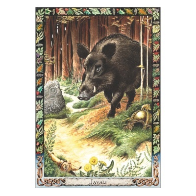 O Oráculo Animal dos Druidas O Oráculo Animal dos Druidas