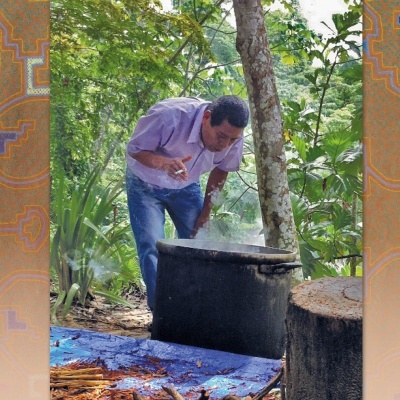 Ayahuasca - Da Serpente ao Jaguar