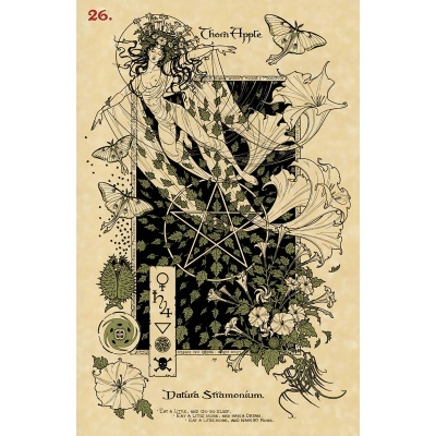 The Magickal Botanical Oracle The Magickal Botanical Oracle