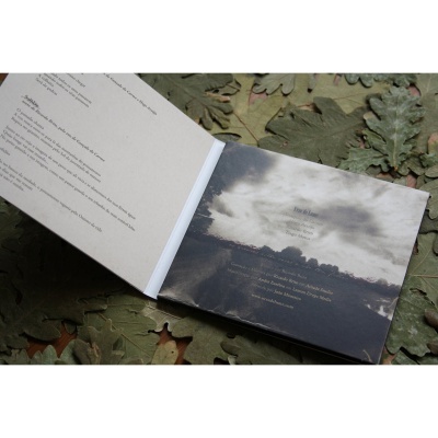 As Árvores Estão Secas e Não Têm Folhas As Árvores Estão Secas e Não Têm Folhas