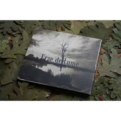 As Árvores Estão Secas e Não Têm Folhas As Árvores Estão Secas e Não Têm Folhas