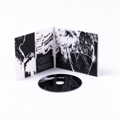 Tomorrow's Gone Tomorrow's Gone