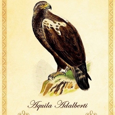 Oráculo dos Animais da Península Ibérica Oráculo dos Animais da Península Ibérica