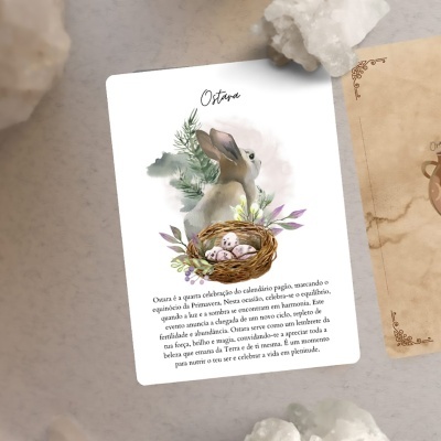 Oráculo da Curandeira