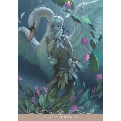 Night Fairies Oracle Cards