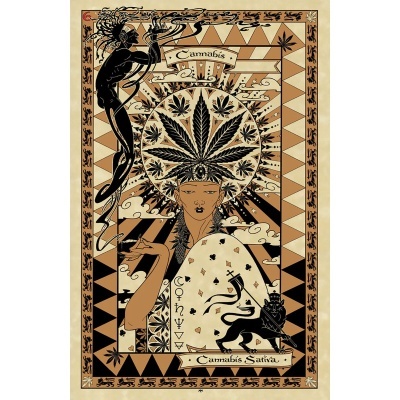 The Magickal Botanical Oracle The Magickal Botanical Oracle