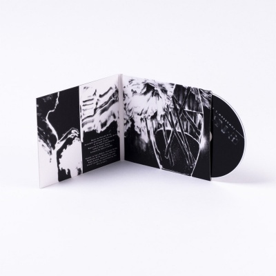 Tomorrow's Gone Tomorrow's Gone