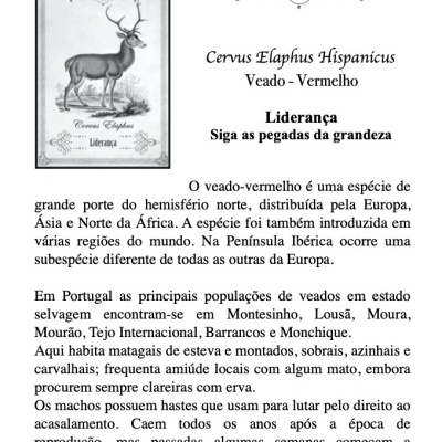 Oráculo dos Animais da Península Ibérica Oráculo dos Animais da Península Ibérica
