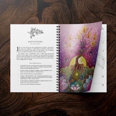 Drusuna - Agenda Druídica 2026 Drusuna - Agenda Druídica 2026