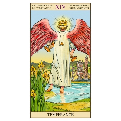 Tarot of the New Vision Kit Tarot of the New Vision Kit