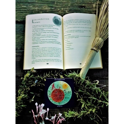 Oráculo Matriz Oráculo Matriz