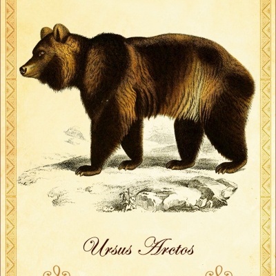 Oráculo dos Animais da Península Ibérica Oráculo dos Animais da Península Ibérica