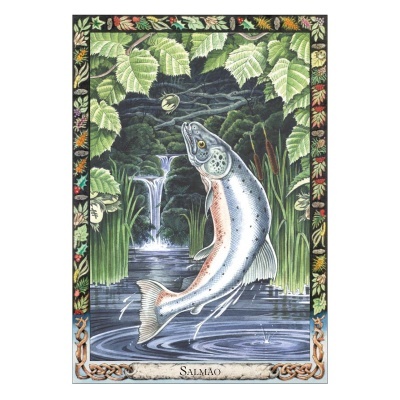 O Oráculo Animal dos Druidas O Oráculo Animal dos Druidas
