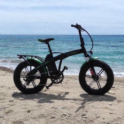 E-BIKE ZEUS