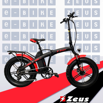 E-BIKE ZEUS