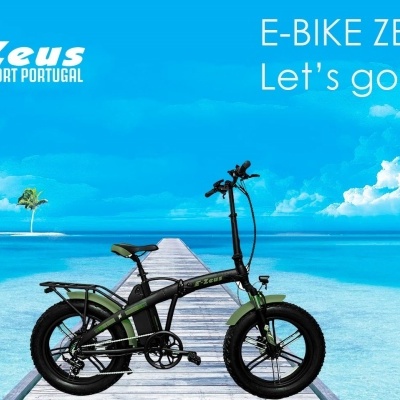 https://www.zeusportugal.pt/product/e-bike-zeus